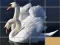 Animals Slide Puzzle เกมออนไลน์