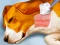 Dog Hospital เกมออนไลน์