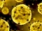 Coronavirus Slide เกมออนไลน์