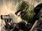 Terrorist Shootout เกมออนไลน์