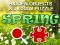 Hidjigs Spring เกมออนไลน์