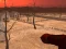 Wasteland Shooters เกมออนไลน์