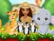 Moana Cute Zoo เกมออนไลน์