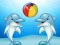 Dolphin Show เกมออนไลน์