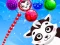 Raccoon Rescue เกมออนไลน์