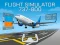 Flight Simulator 737-800 เกมออนไลน์