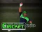 Cricket Fielder Challenge เกมออนไลน์