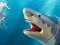 Shark Hunting เกมออนไลน์