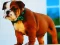 Bulldog Puppy Puzzle เกมออนไลน์