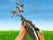 Bird Hunting เกมออนไลน์