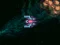 Asteroid Crush เกมออนไลน์