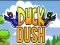 Duck Dash เกมออนไลน์