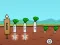 Radish เกมออนไลน์