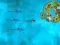 Survive the Sharks เกมออนไลน์