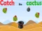 Catch The Cactus เกมออนไลน์