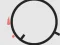 ColorRing เกมออนไลน์