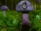 Mushroom Forest Adventure เกมออนไลน์