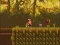 The Lost Forest เกมออนไลน์