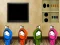 Delicate Boy Escape เกมออนไลน์