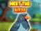 Meet The Birds เกมออนไลน์