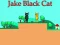 Jake Black Cat เกมออนไลน์