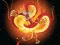 Chinese Dragons Coloring เกมออนไลน์