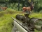 Stag Hunt เกมออนไลน์