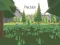 Precision เกมออนไลน์