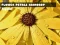 Flower Petals Raindrop Jigsaw เกมออนไลน์