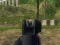 Army Shooter เกมออนไลน์