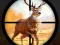 Wild Hunting Clash เกมออนไลน์