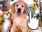 Pets Clicker เกมออนไลน์