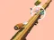 Spiral Rush เกมออนไลน์