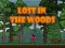 Lost in the Woods เกมออนไลน์