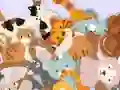 Find The Kitty เกมออนไลน์