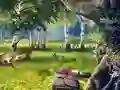 Scout Camp เกมออนไลน์