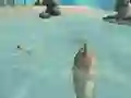 Shark Simulator Beach Killer เกมออนไลน์