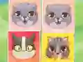 Kitten Match เกมออนไลน์