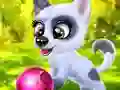 Happy Dog เกมออนไลน์
