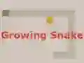 Growing Snake เกมออนไลน์