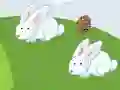 Crazy Eggs เกมออนไลน์