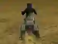 Real Moto Stunts Challenge เกมออนไลน์