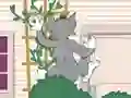 Tom und Jerry: Wasserbomben Wahnsinn เกมออนไลน์
