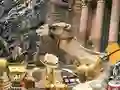 Discover Petra เกมออนไลน์