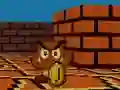 Mario FPS เกมออนไลน์