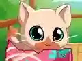 My Pocket Pets Kitty Cat เกมออนไลน์