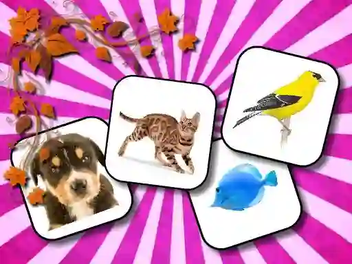 Animals Memory เกมออนไลน์