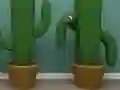 Cactus Cube เกมออนไลน์