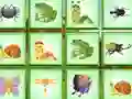 Find The Insect เกมออนไลน์