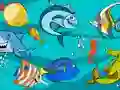 Fish Differences เกมออนไลน์